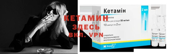 хмурый Ельня