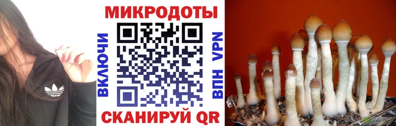 даркнет сайт Гусиноозёрск Псилоцибиновые грибы мицелий